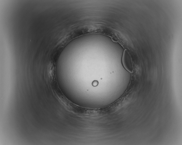 X0000111210914200907081259