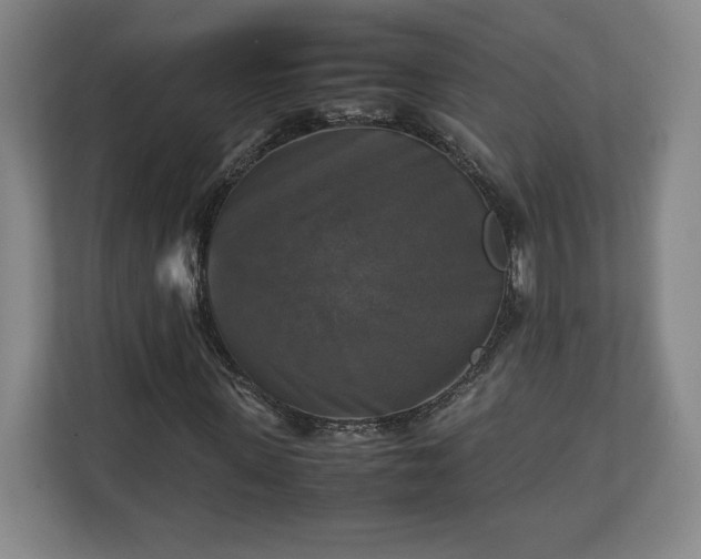 X0000111210915200907081259