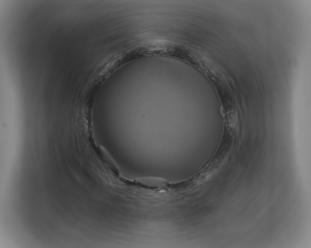 X0000111210916200907081259