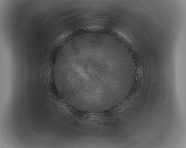 X0000111210917200907081259