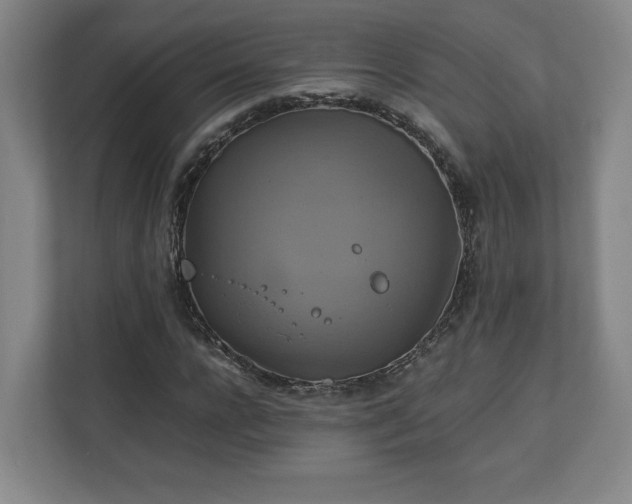 X0000111210920200907081259