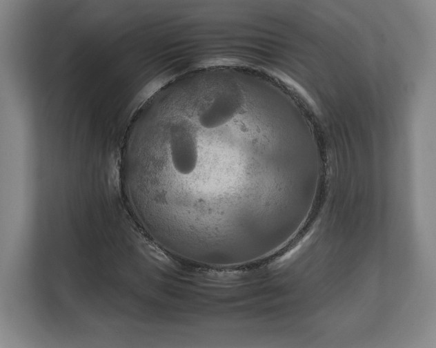 X0000111210921200907081259