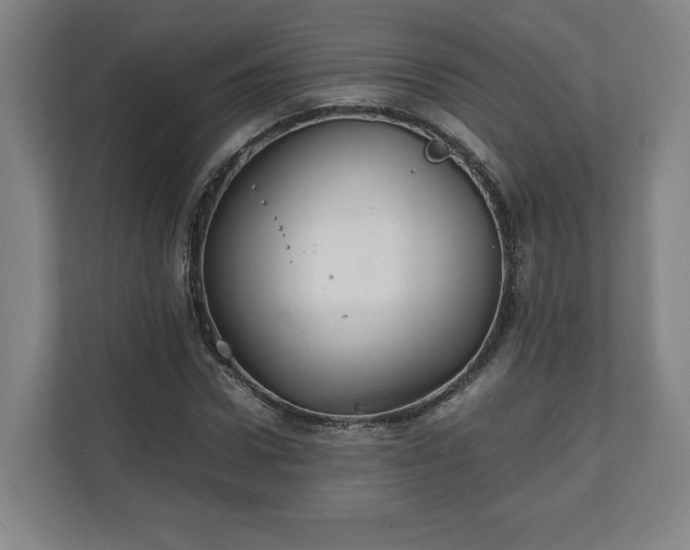 X0000111210922200907081259