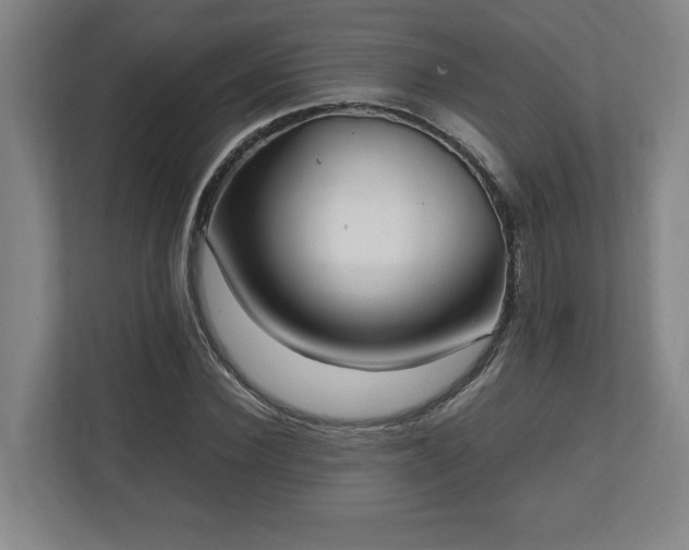 X0000111210924200907081259