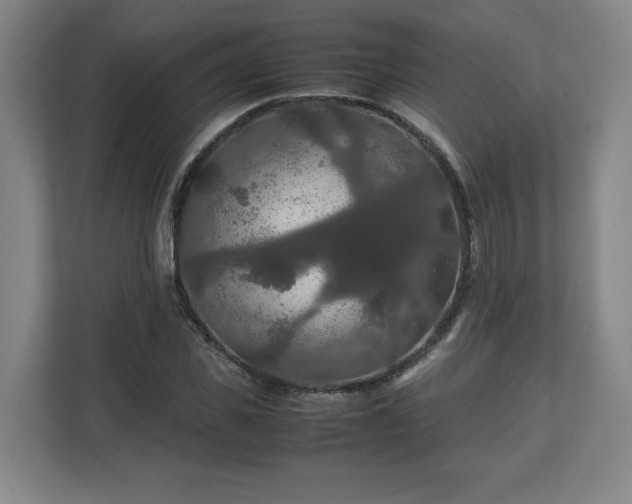 X0000111210925200907081259