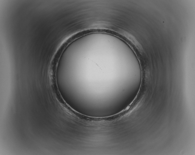 X0000111210926200907081259