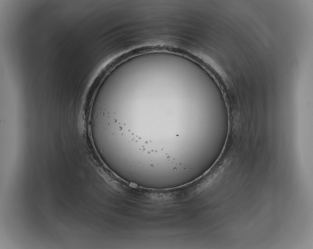 X0000111210927200907081259