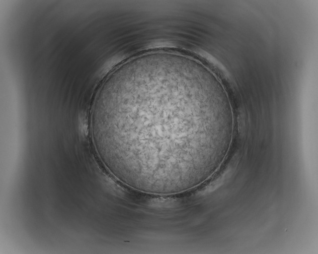 X0000111210929200907081259