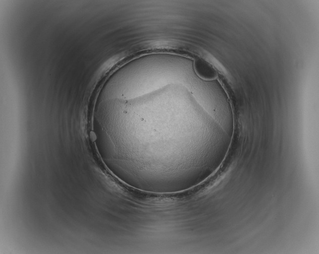 X0000111210930200907081259