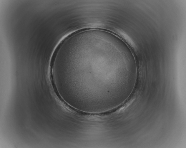 X0000111210932200907081259