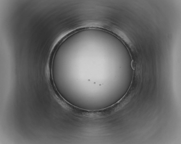 X0000111210936200907081259