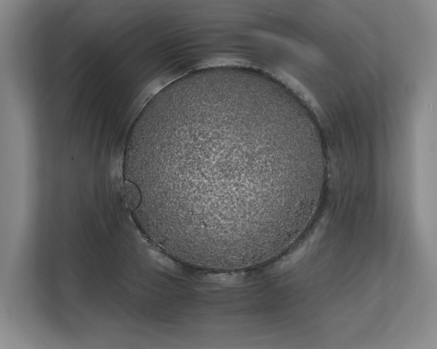 X0000111210937200907081259