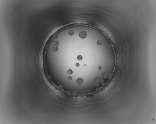 X0000111210939200907081259