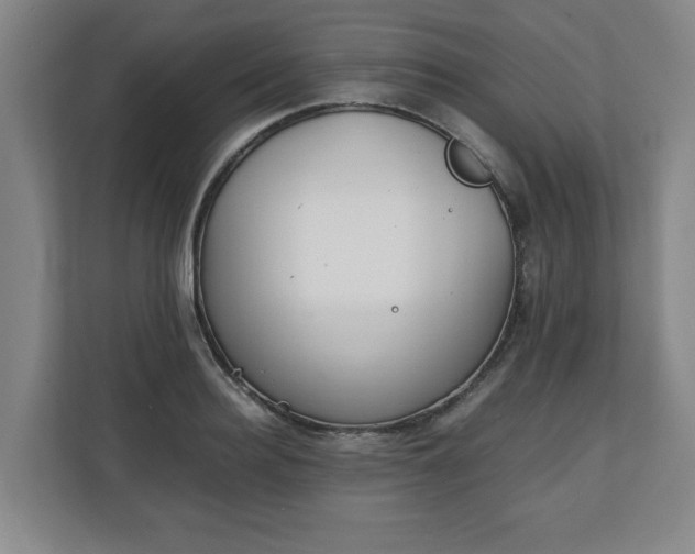 X0000111210940200907081259