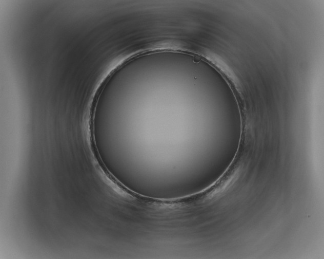 X0000111210941200907081259