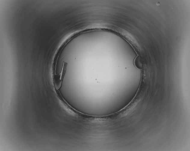 X0000111210942200907081259