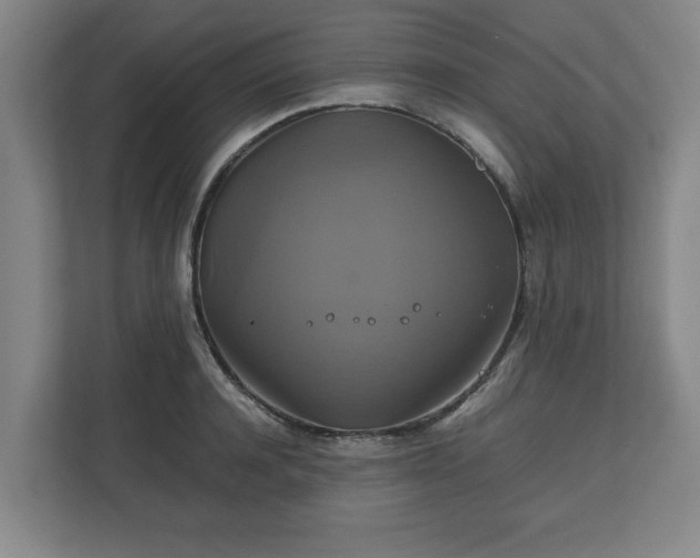 X0000111210944200907081259