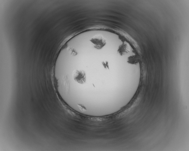 X0000111210945200907081259