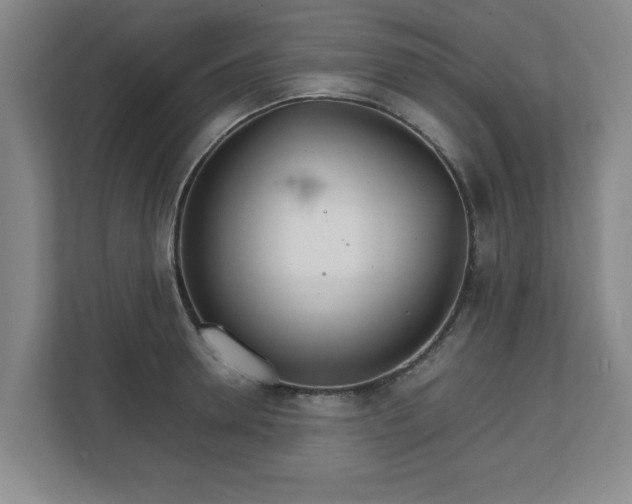 X0000111210946200907081259