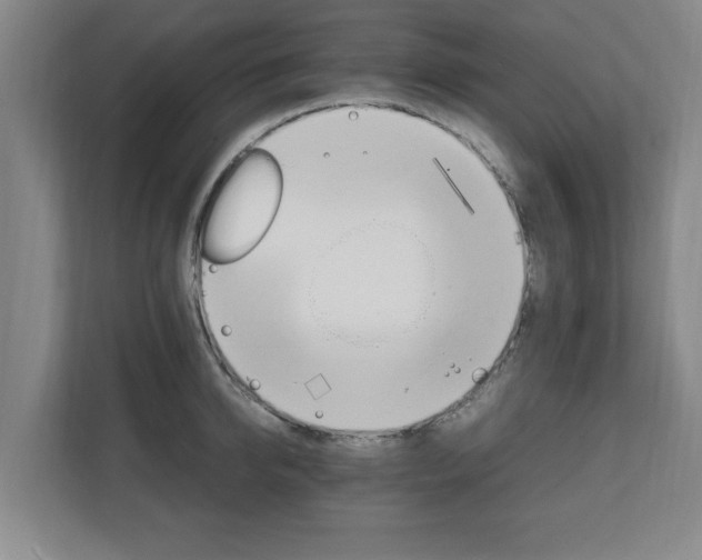 X0000111210950200907081259