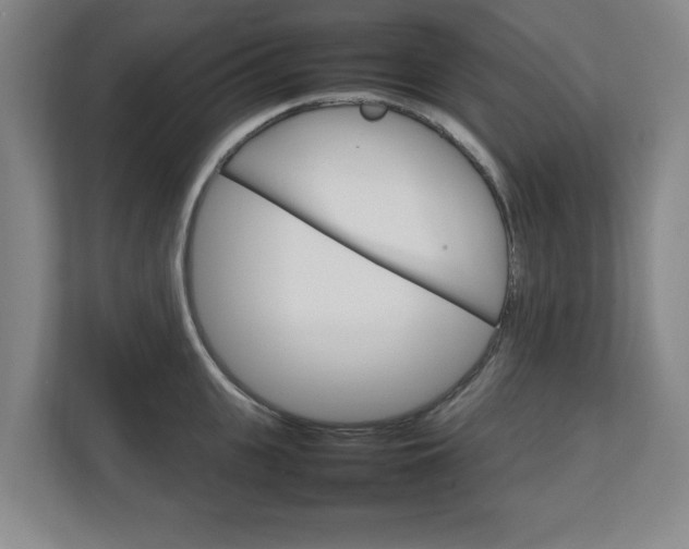 X0000111210951200907081259