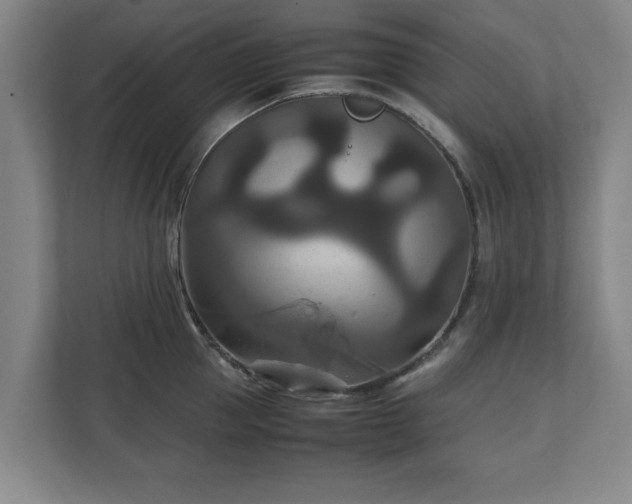 X0000111210953200907081259