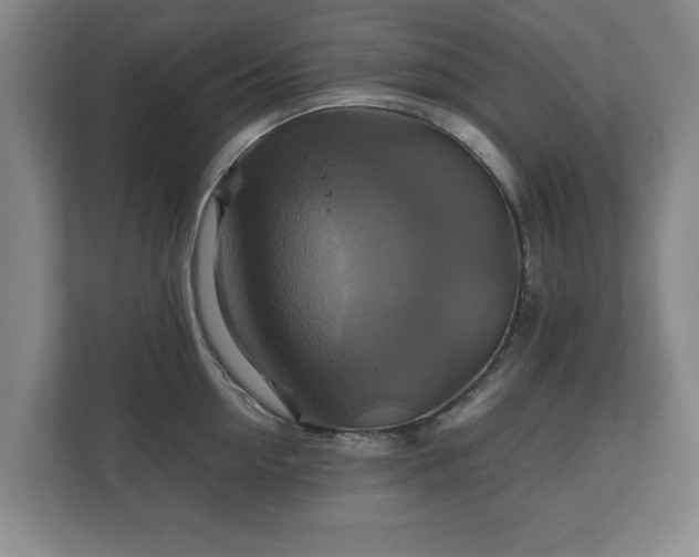 X0000111210954200907081259