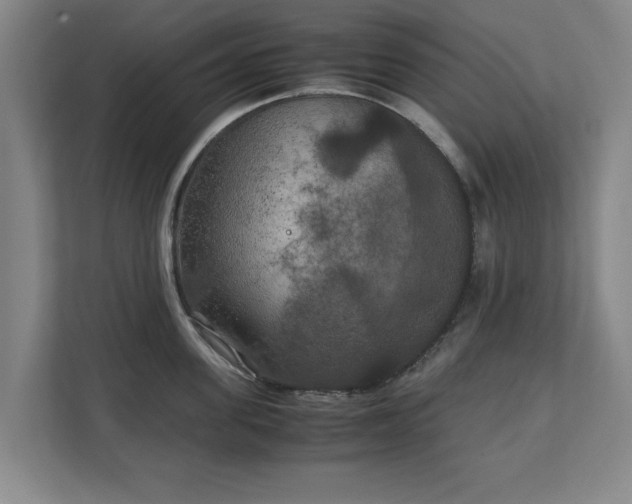 X0000111210955200907081259