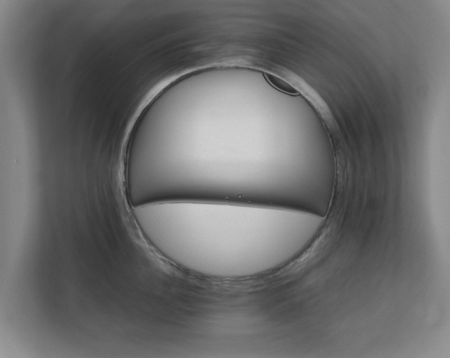 X0000111210956200907081259