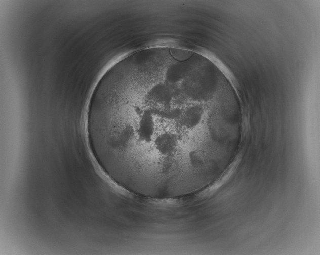 X0000111210957200907081259