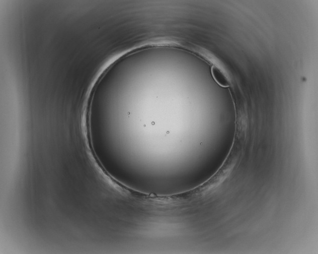 X0000111210959200907081259