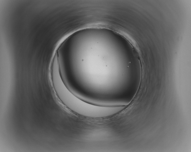 X0000111210960200907081259