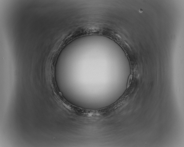 X0000111210961200907081258