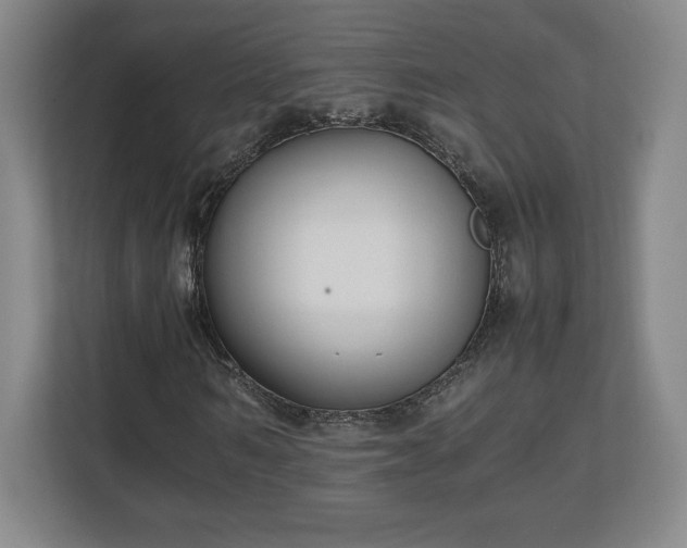 X0000111210962200907081258