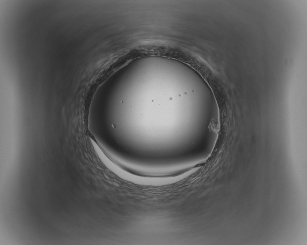 X0000111210965200907081258