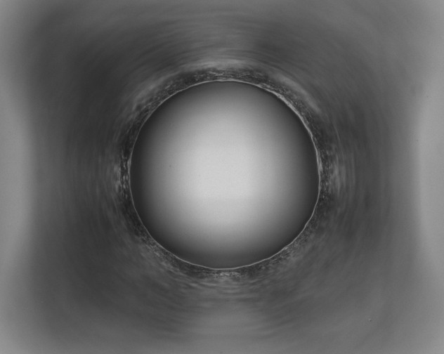 X0000111210966200907081258