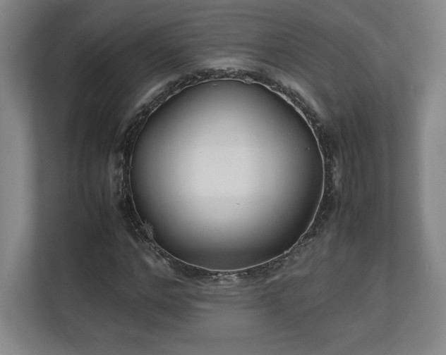 X0000111210968200907081258