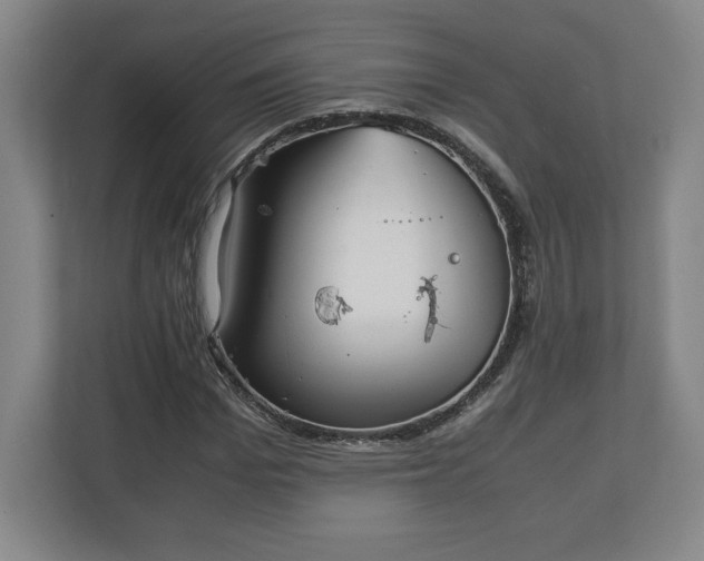 X0000111210969200907081258