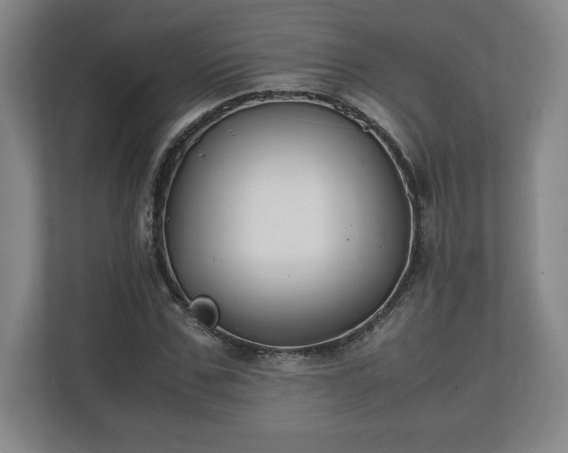 X0000111210971200907081258