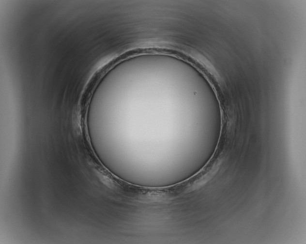 X0000111210974200907081258