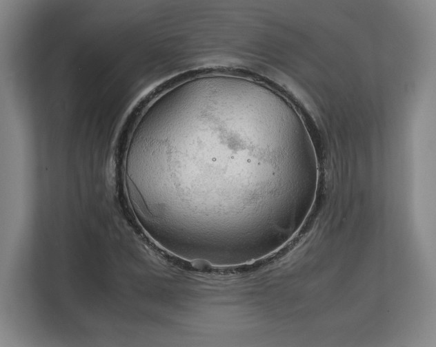 X0000111210975200907081258