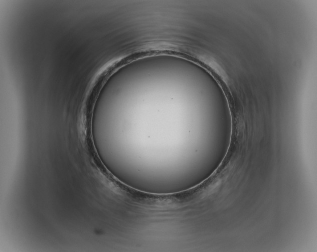 X0000111210979200907081258