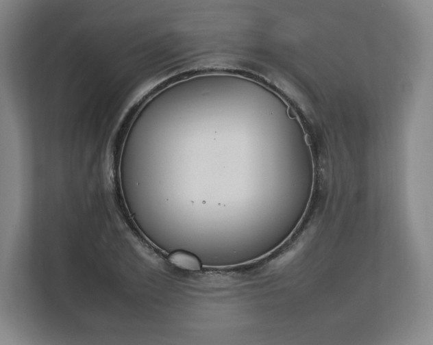 X0000111210981200907081258