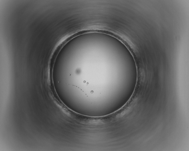 X0000111210982200907081258