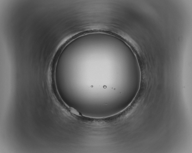 X0000111210983200907081258