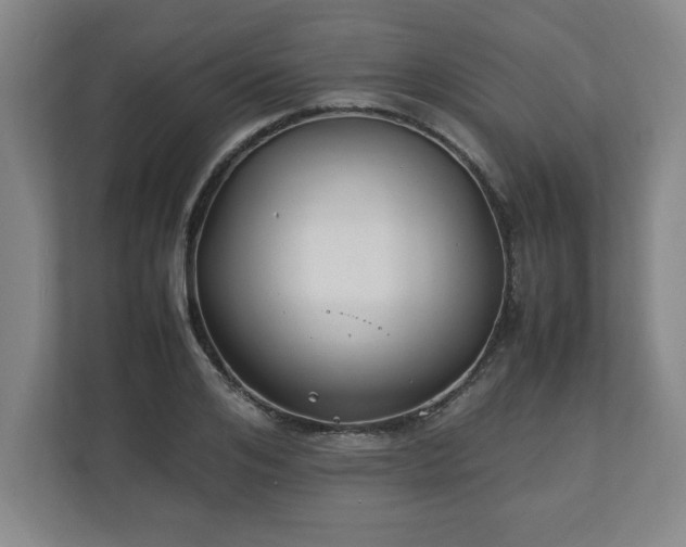 X0000111210984200907081258