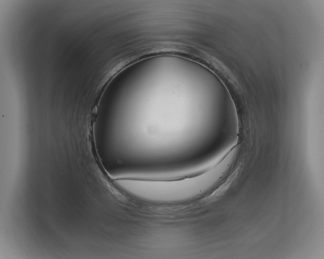 X0000111210985200907081258