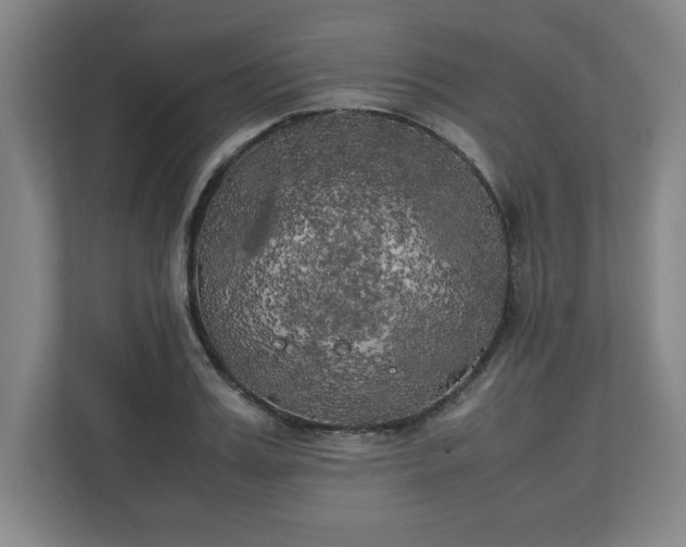 X0000111210987200907081258