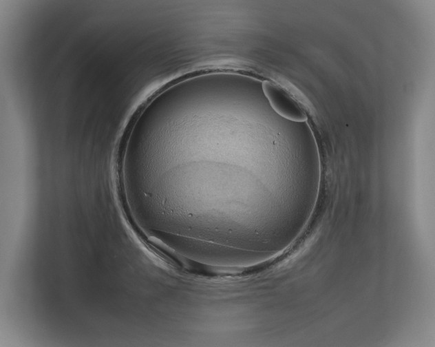 X0000111210989200907081258