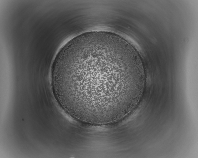 X0000111210990200907081258